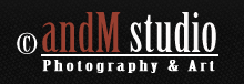 andM Studio